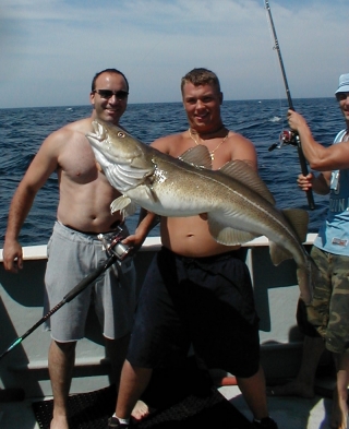 Gloucester Deep Sea Fishing Cod