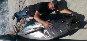Laying next to Giant Bluefin Tuna