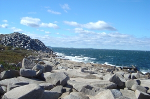 halibut point quarry