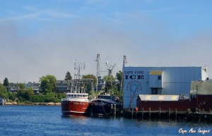 clambake cruise Gloucester waterfront