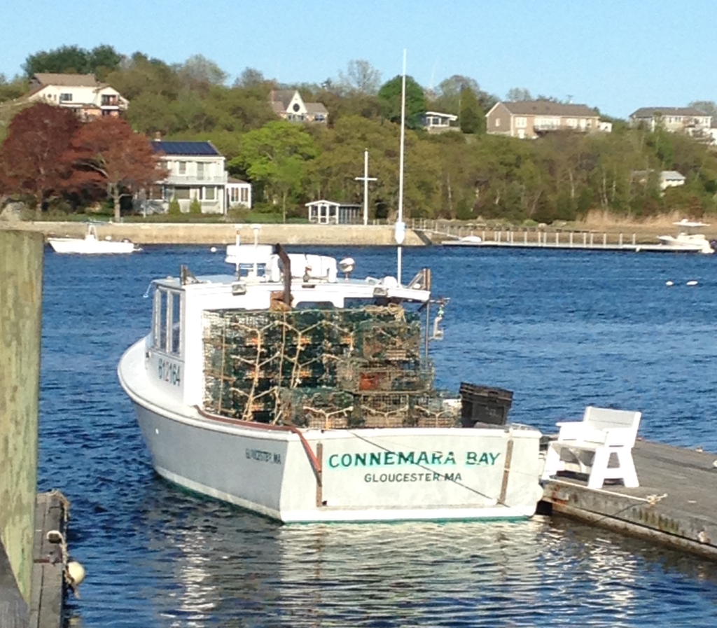 Lobster Tours, Lobster Tour Gloucester