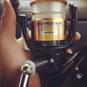 shimano baitrunner