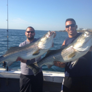 Cow Striped Bass