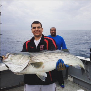 Charter fishing Gloucester 48 inch striped bass