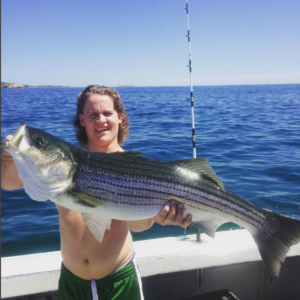 big striped bass caught charter fishing ma