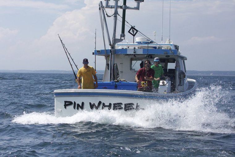 pinwheel tuna fishing