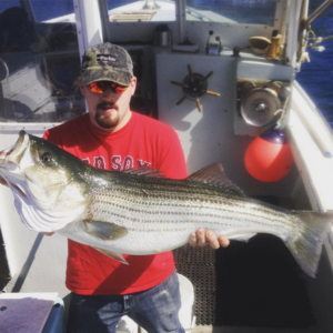 red sox striped bass