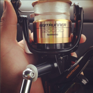 shimano baitrunner striper fishing reel