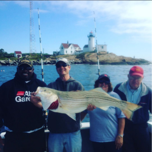 striped bass eastern point lighthouse Gloucester