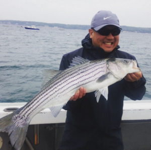 striped bass fishing new england