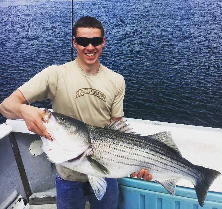 huge striped bass