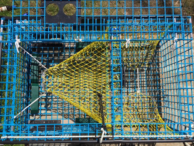 A Lobster Trap