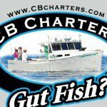 Connemara Bay Fishing Charters